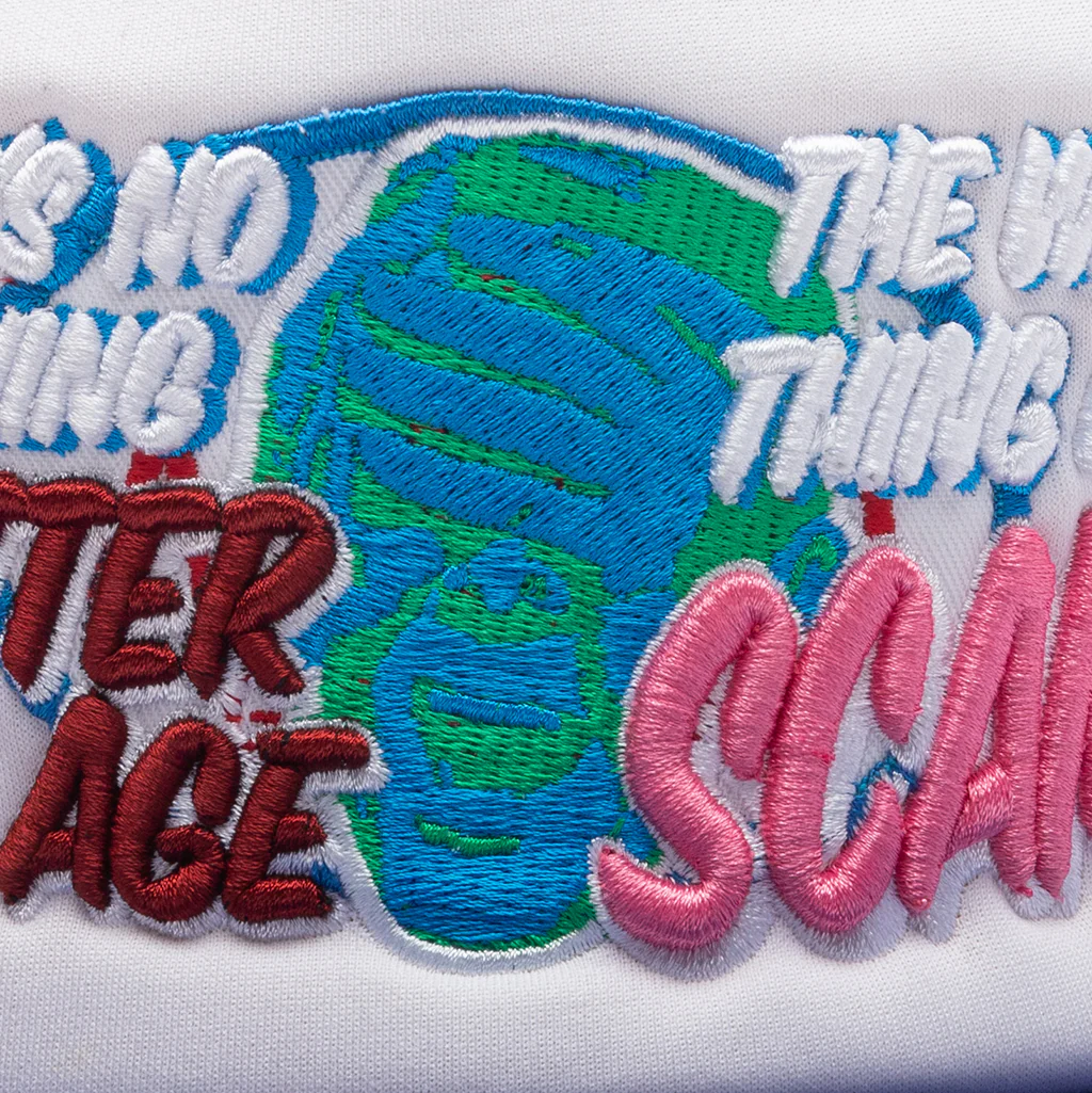 Scam Hat - Multi - Image 2
