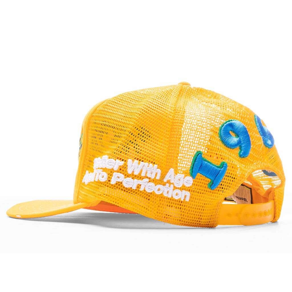 Summer of '69 Hat - Multi - Image 5