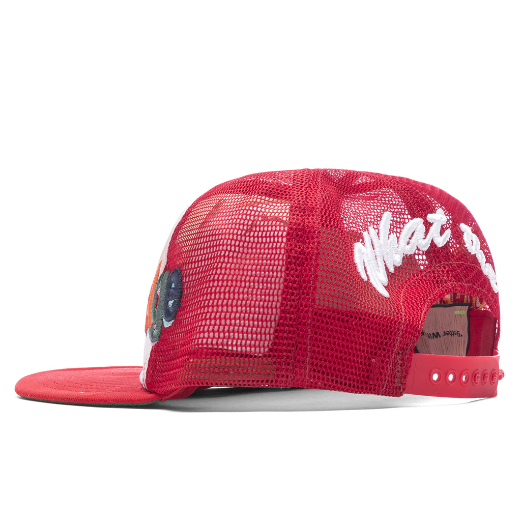 WTH is BWA Hat - Multi - Image 4