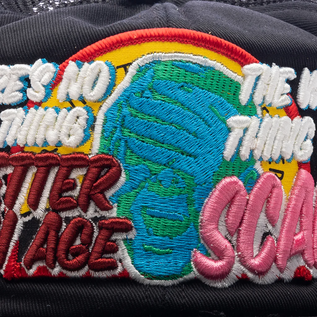 Scam Hat - Multi - Image 2