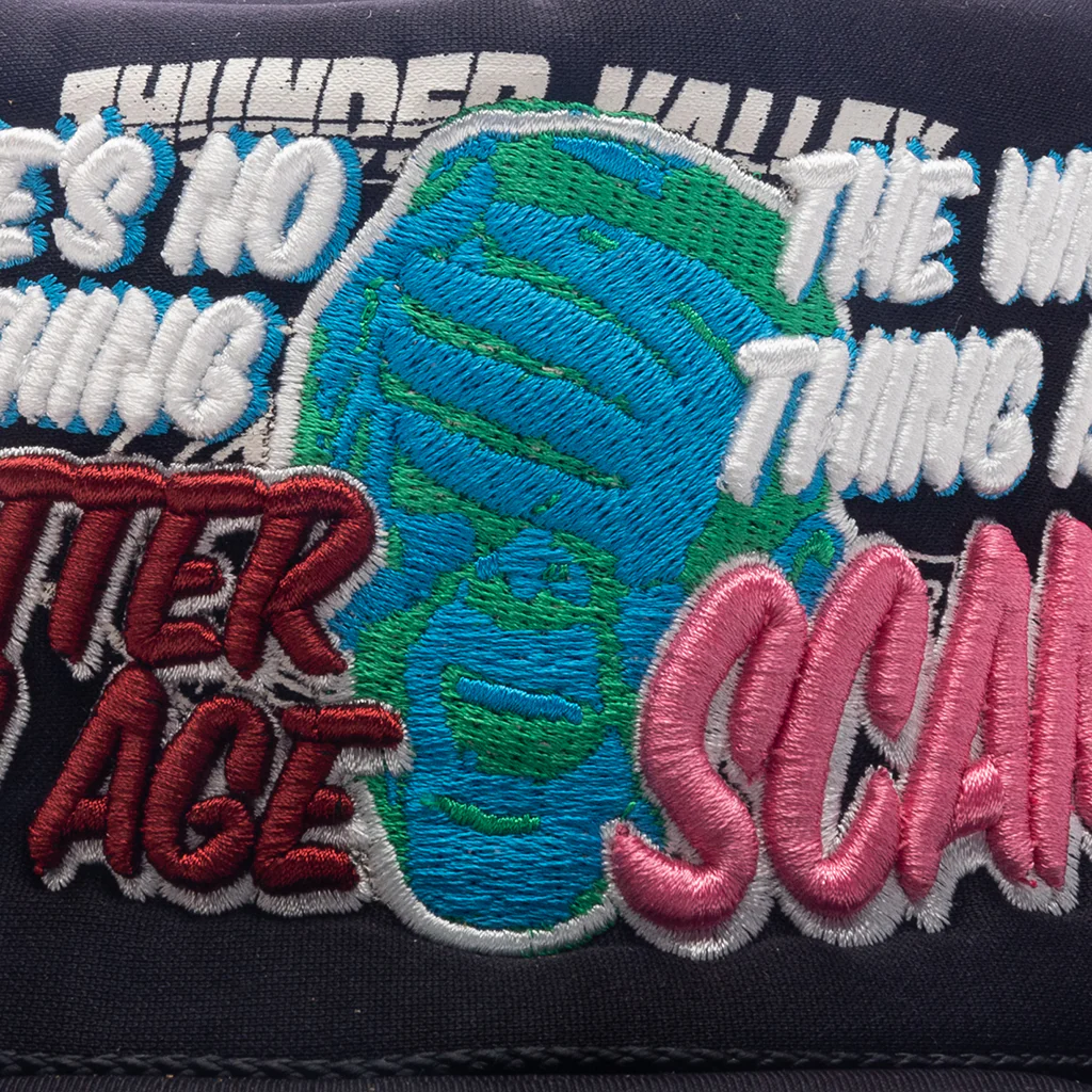 Scam Hat - Multi - Image 2