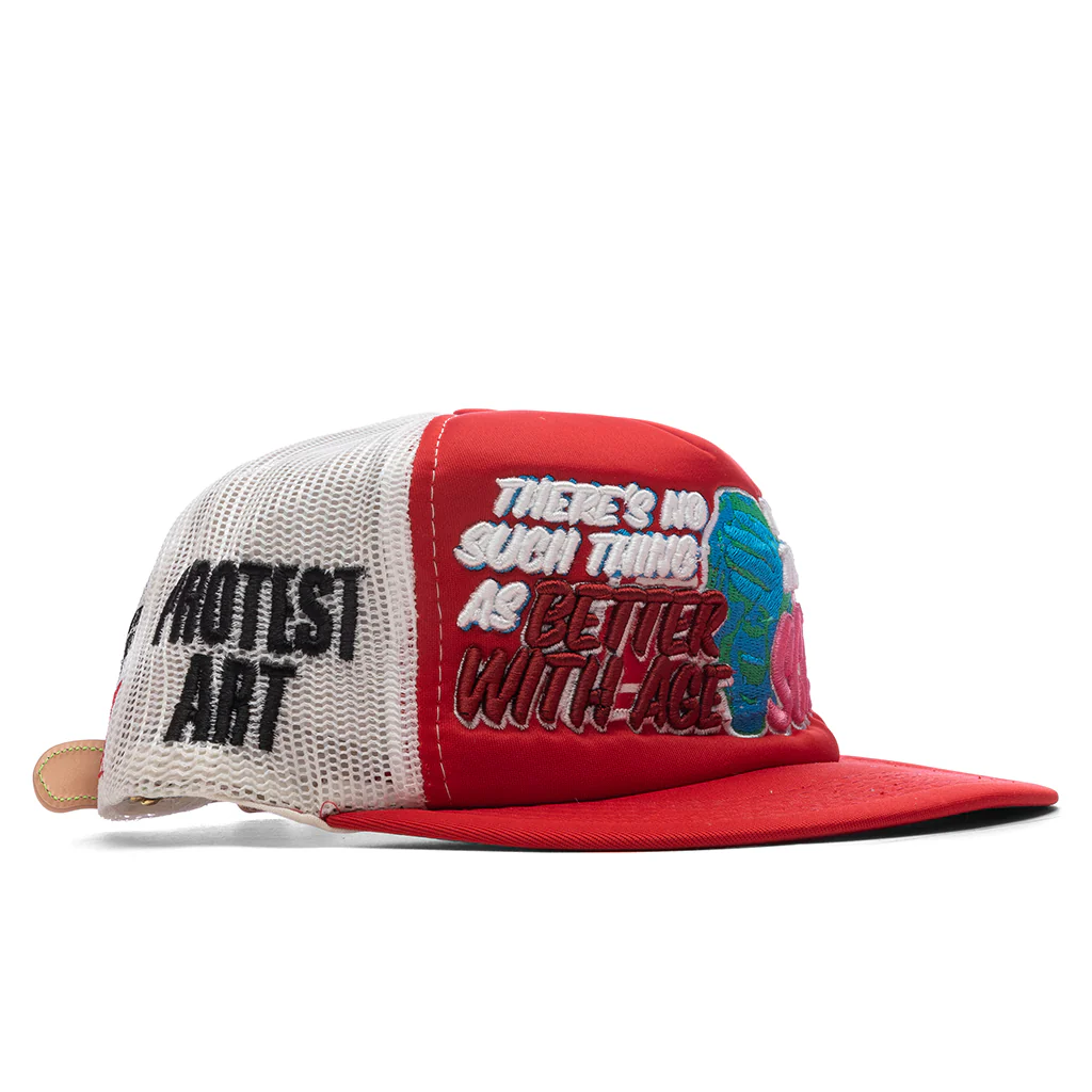 Scam Hat - Multi - Image 3