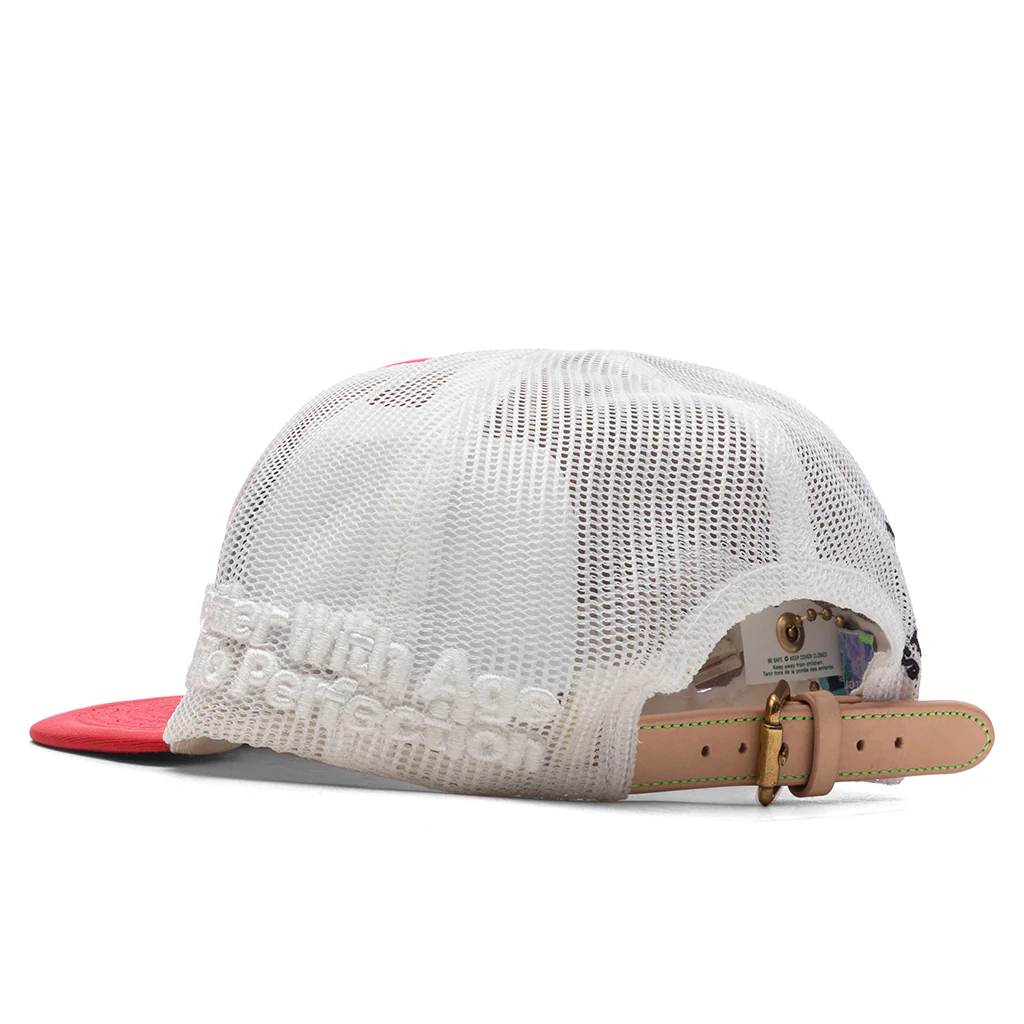 Scam Hat - Multi - Image 4