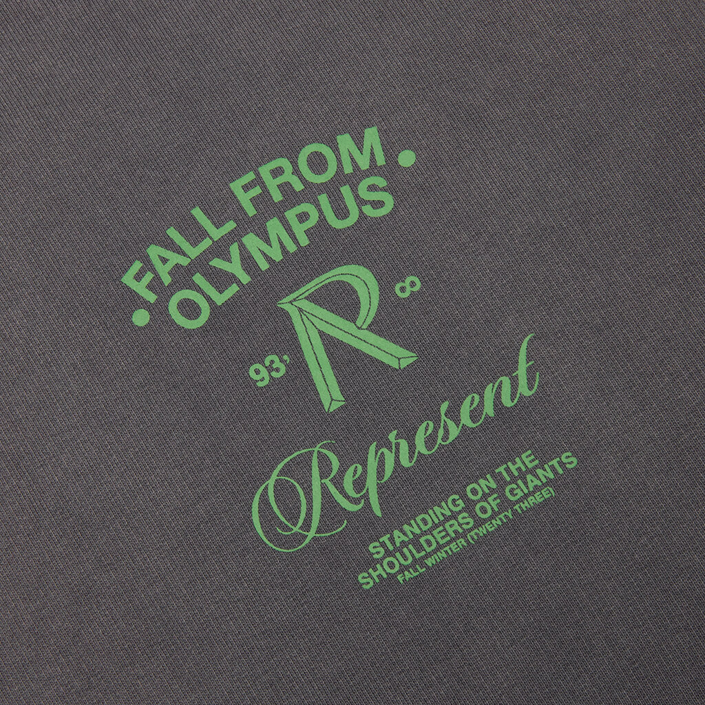 Fall From Olympus Hoodie - Storm - Image 3