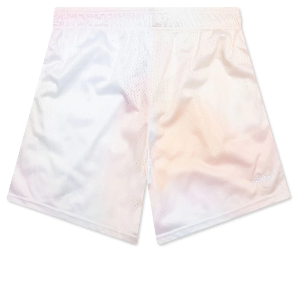 West Mesh Shorts - Desert Oasis