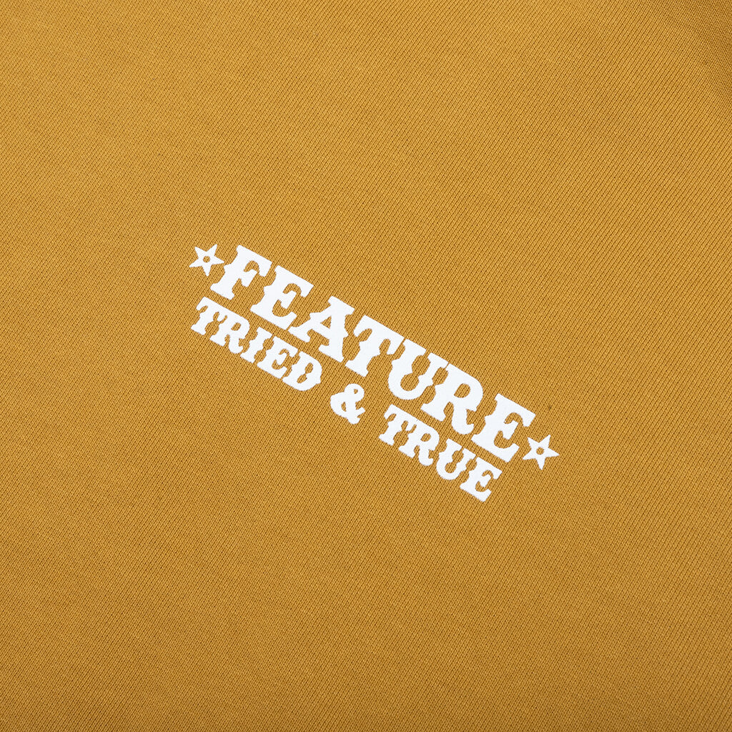 Tried and True Hoodie - Wood Thrush - Image 5