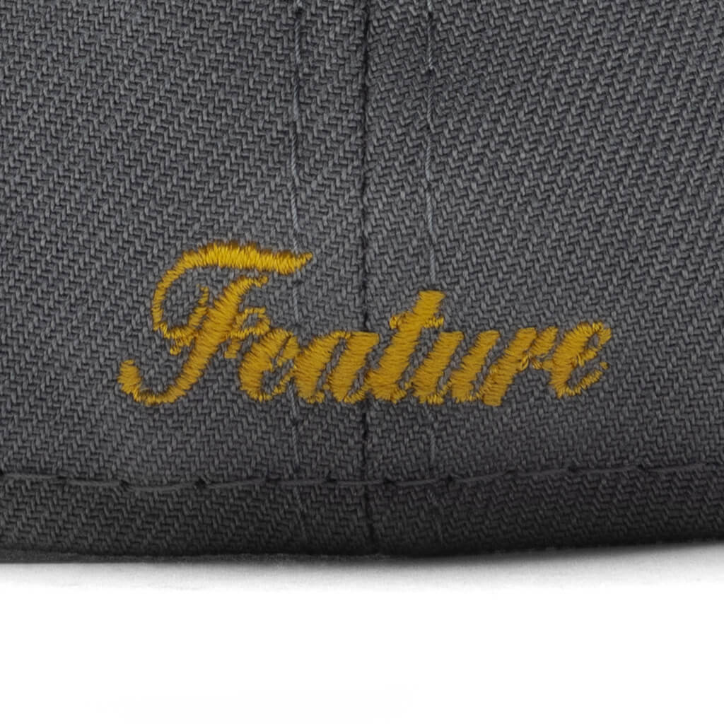 Feature x New Era Fossils Everywhere 59FIFTY Fitted - Gray/Brown - Image 3