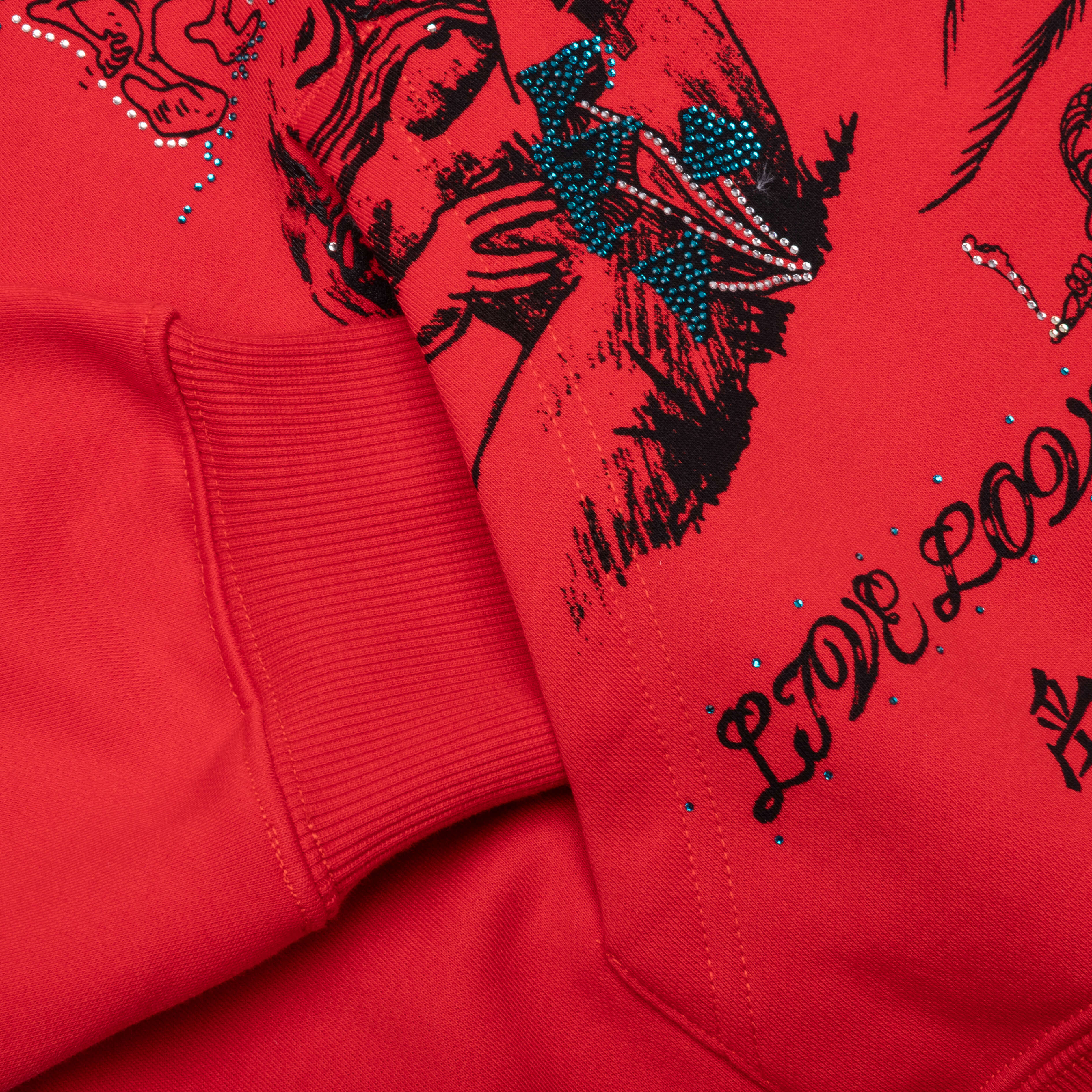 Find Truth Hoodie - Red - Image 4