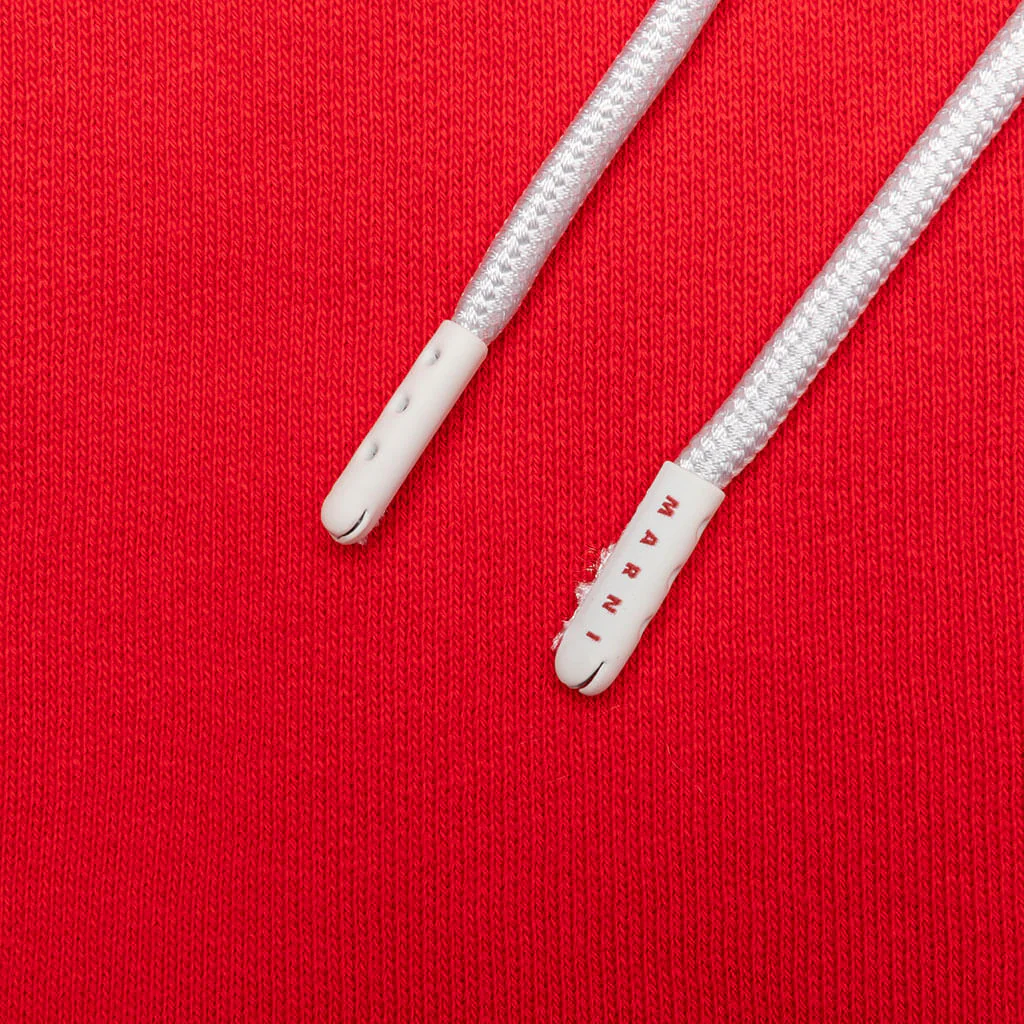 Sweatshirt - Lacquer - Image 4