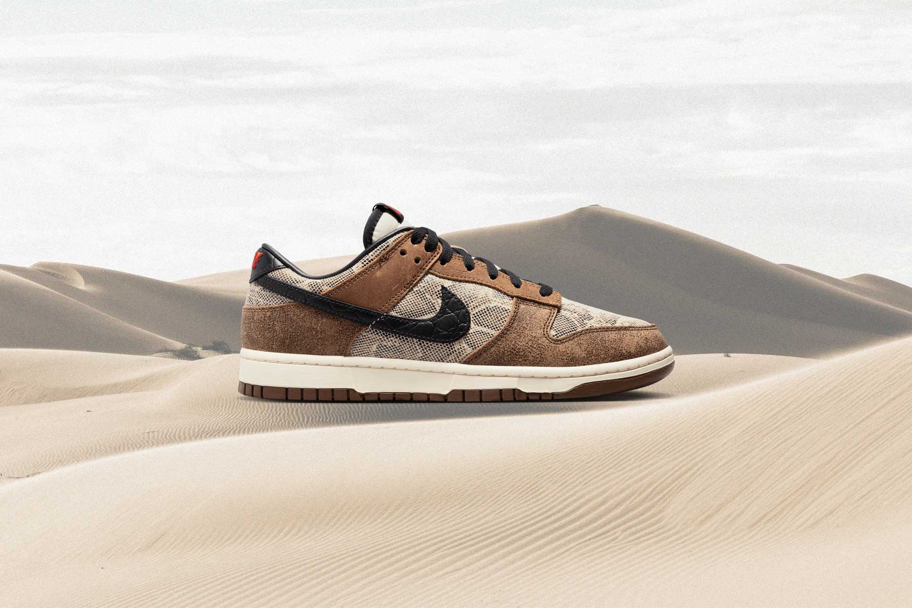 Dunk Low Premium Brown Snakeskin - Natural/Black/Ale Brown - Image 5