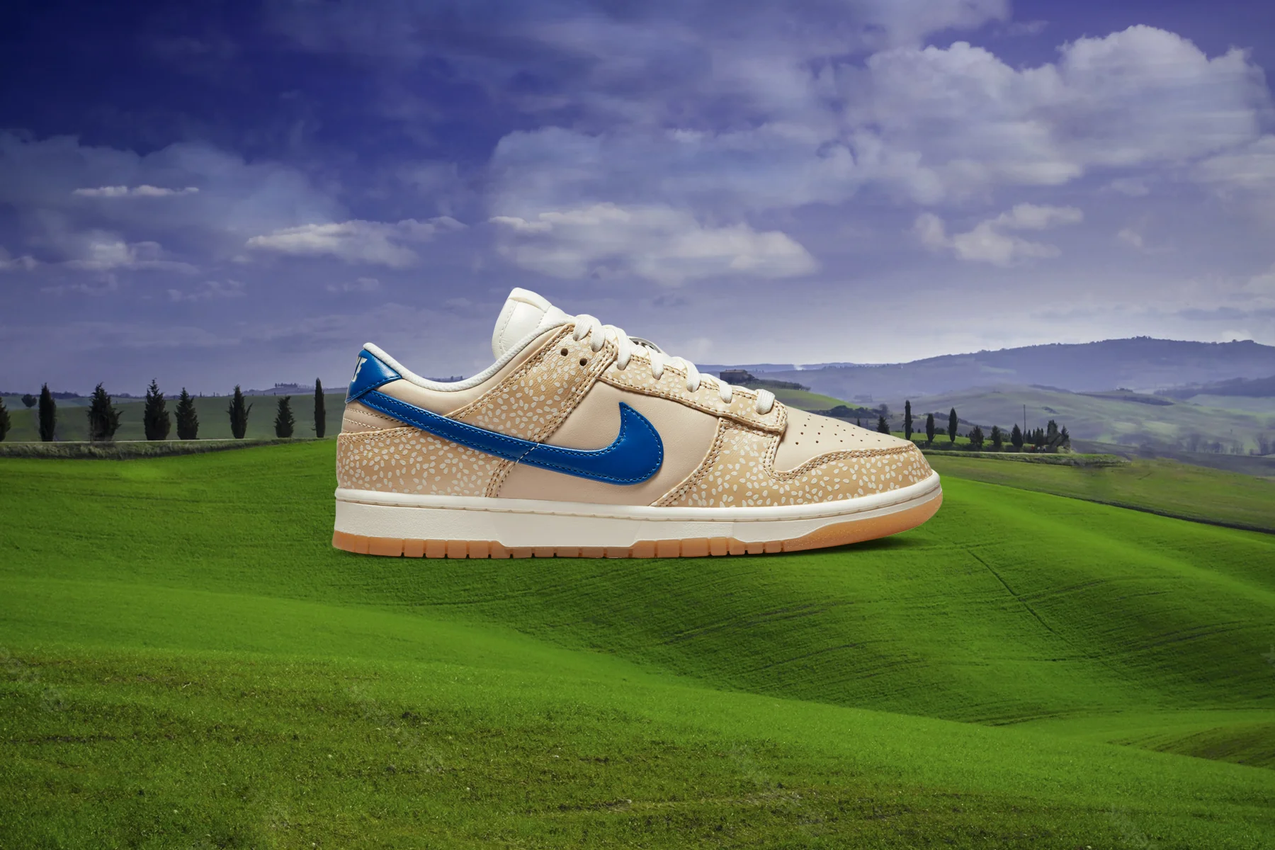 Dunk Low Montreal Bagel - Sesame/Blue Jay/Sail - Image 5