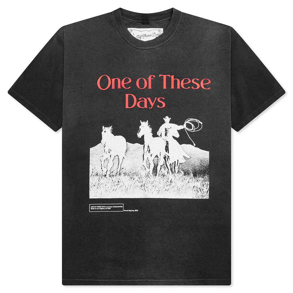 Across the Plains T-Shirt - Sun Faded Black