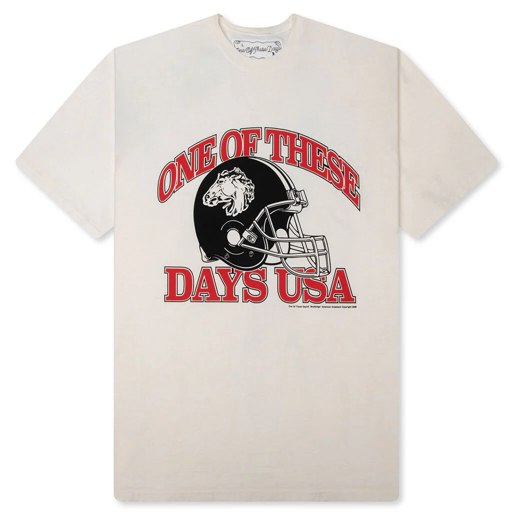 Days USA T-Shirt - Bone
