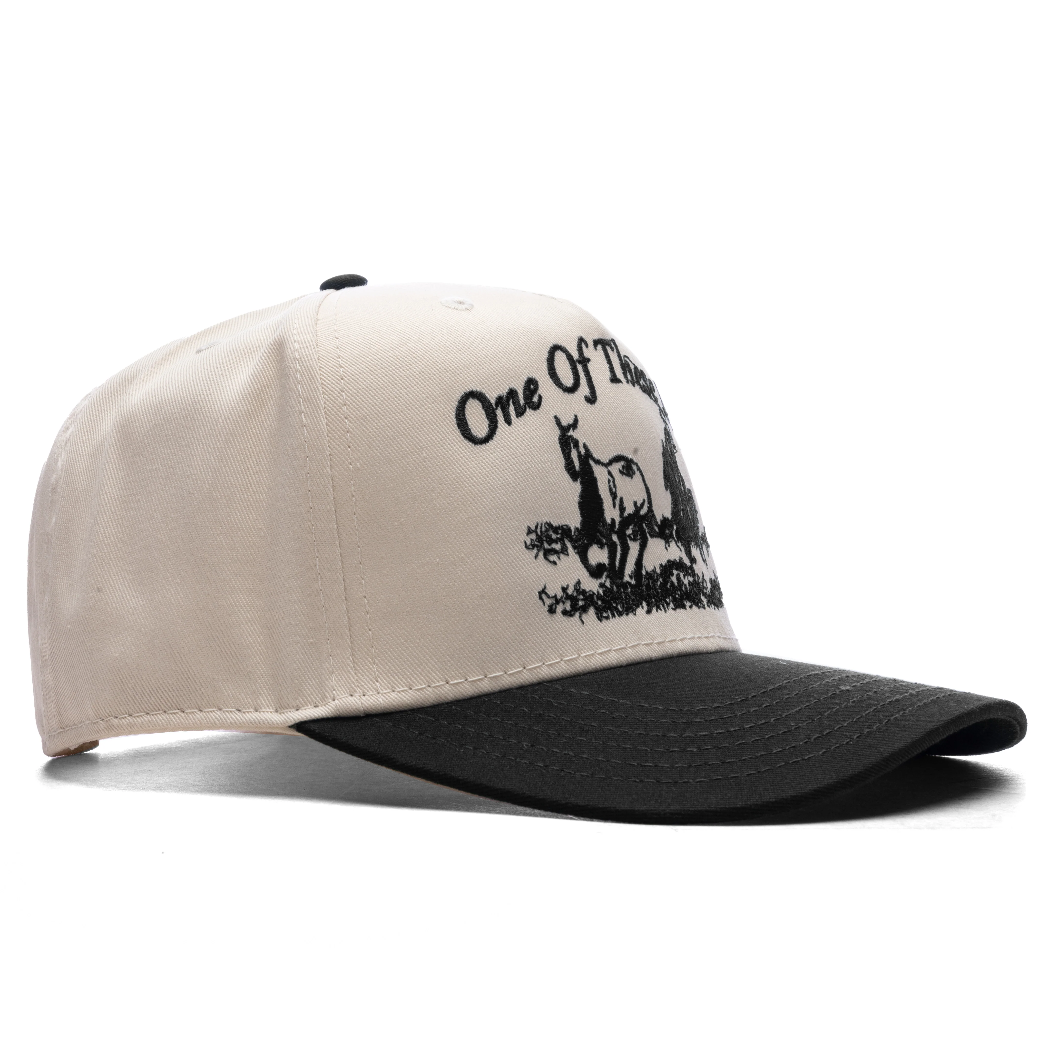 Just For A Moment 5-Panel Hat - Natural/Black - Image 3