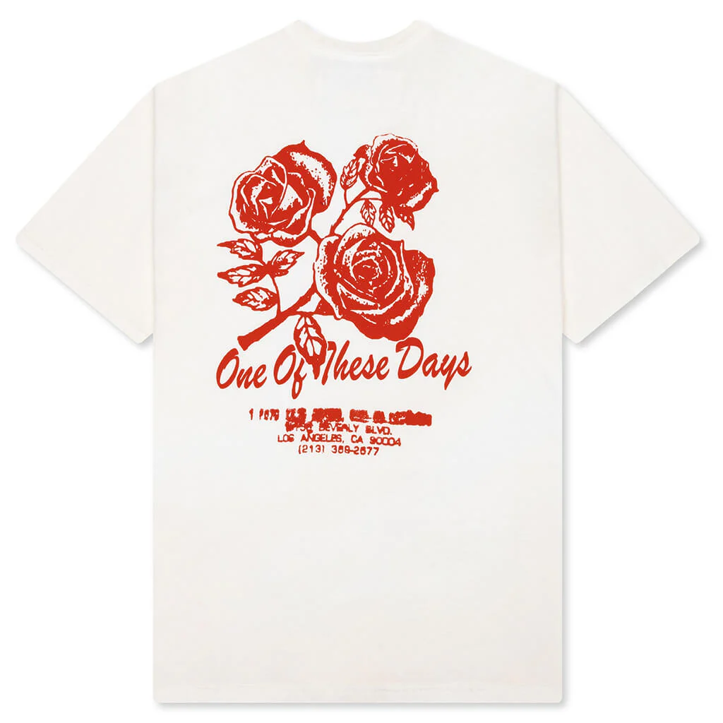 Sweet Jane T-Shirt - Bone - Image 2