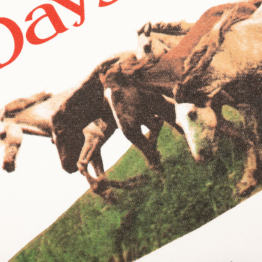 Wild Horses Crewneck - Bone - Image 3