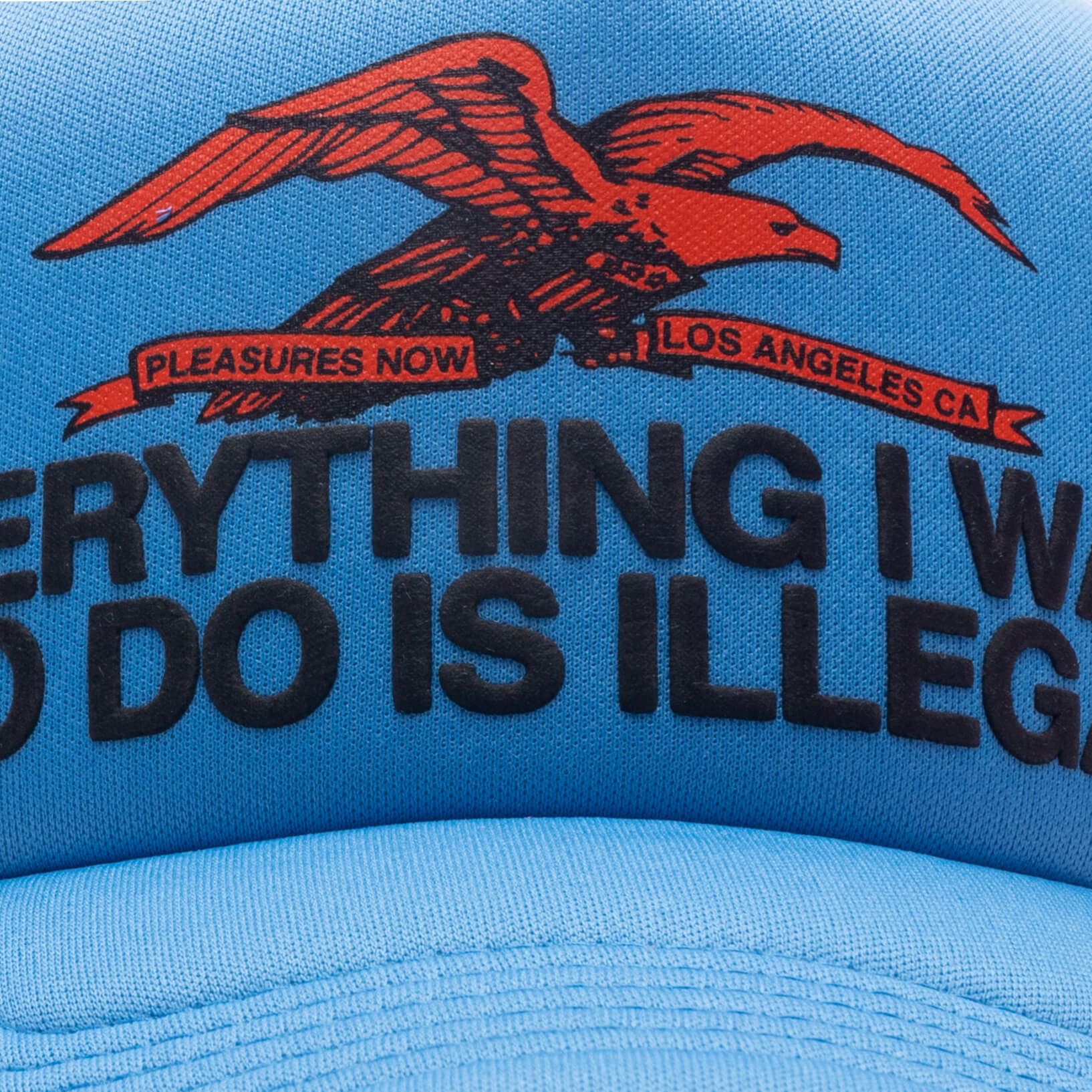 Illegal Trucker - Blue - Image 2