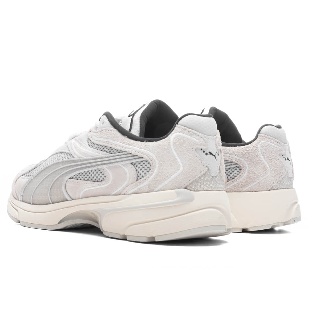 Extos Collector - Grey - Image 3