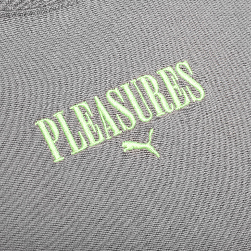 Puma x Pleasures Graphic Tee - Stormy Slate - Image 3