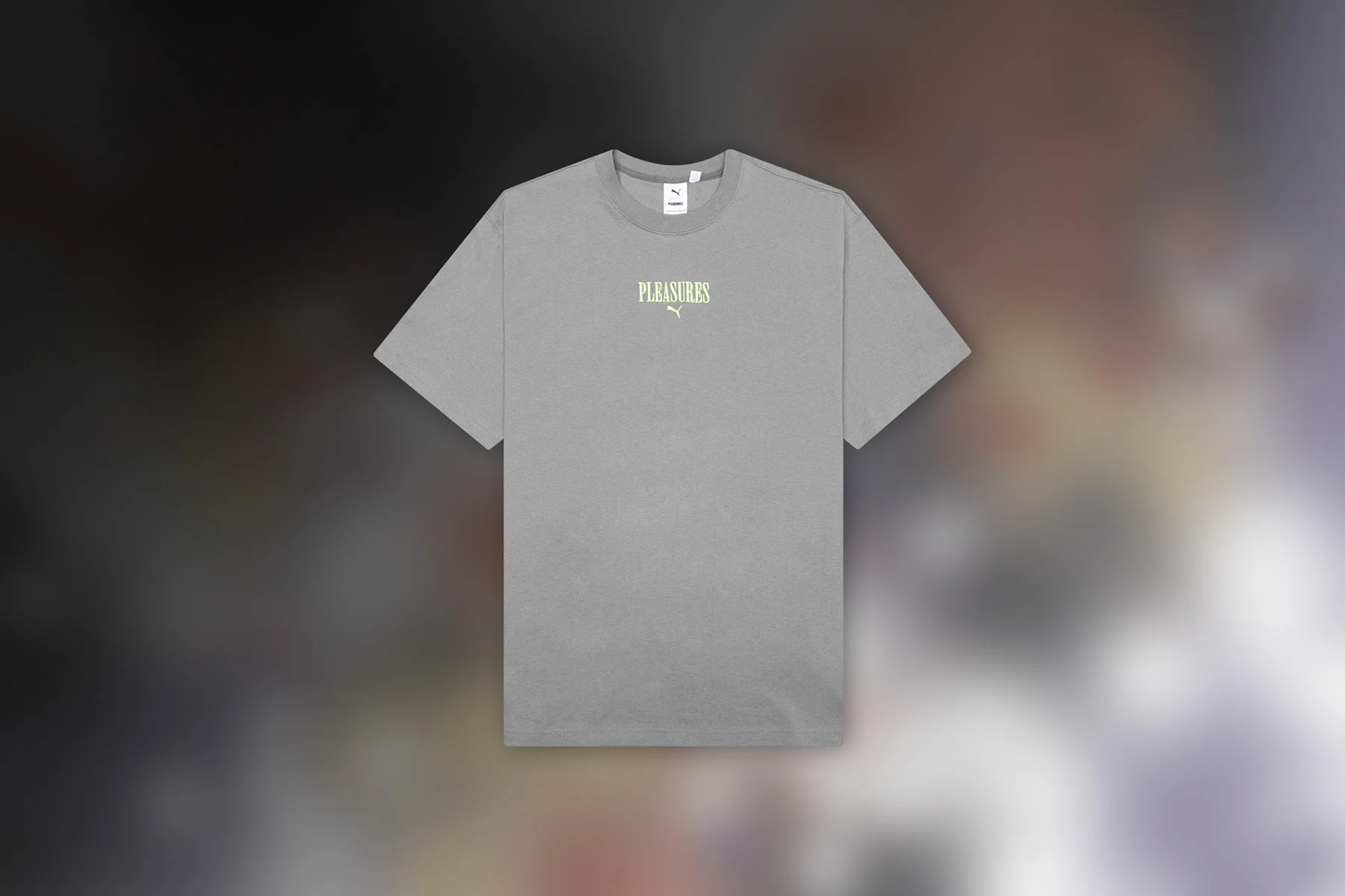 Puma x Pleasures Graphic Tee - Stormy Slate - Image 5