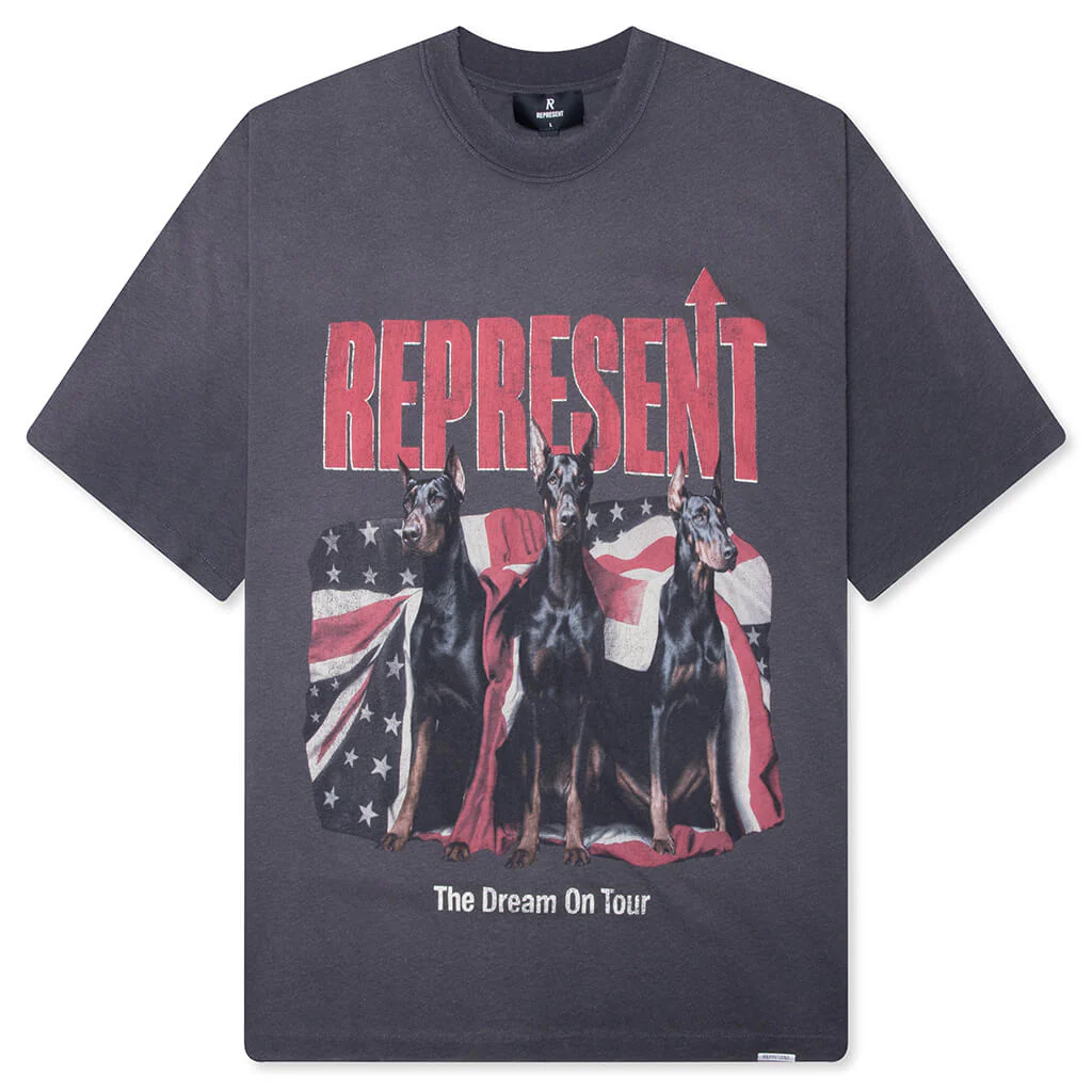 Dream On Tour T-Shirt - Sun Fade Grey