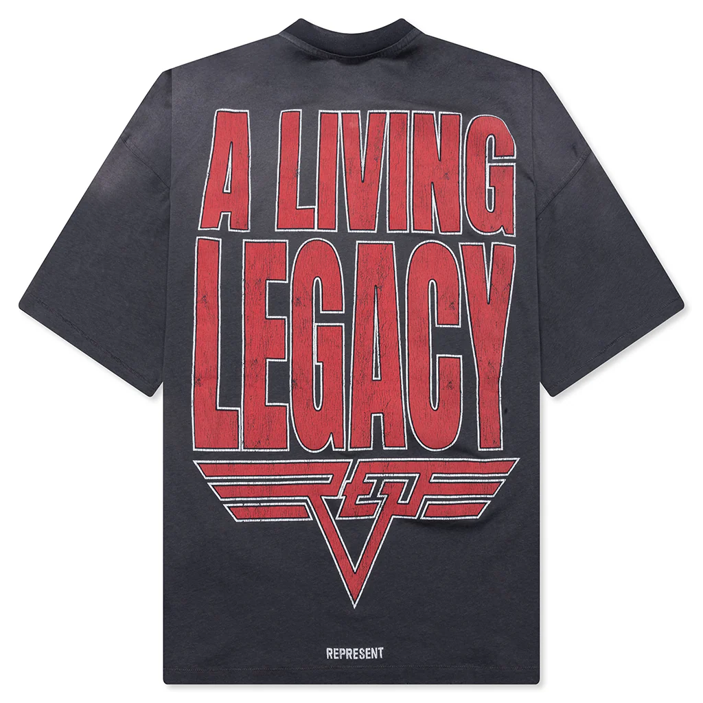 Living Legacy T-Shirt - Sun Fade Grey - Image 2