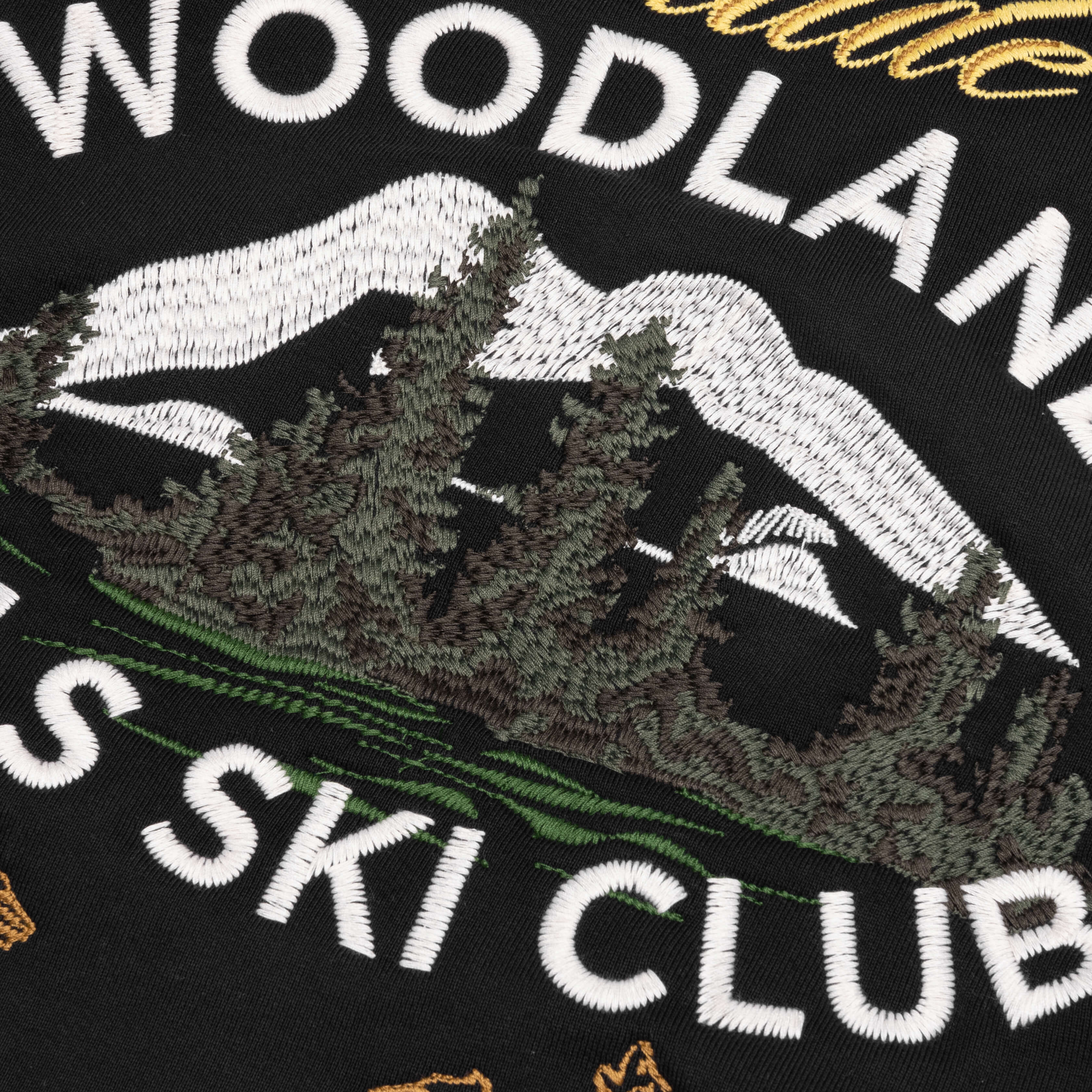 Woodland Hills Ski Hoodie - Vintage Black - Image 5