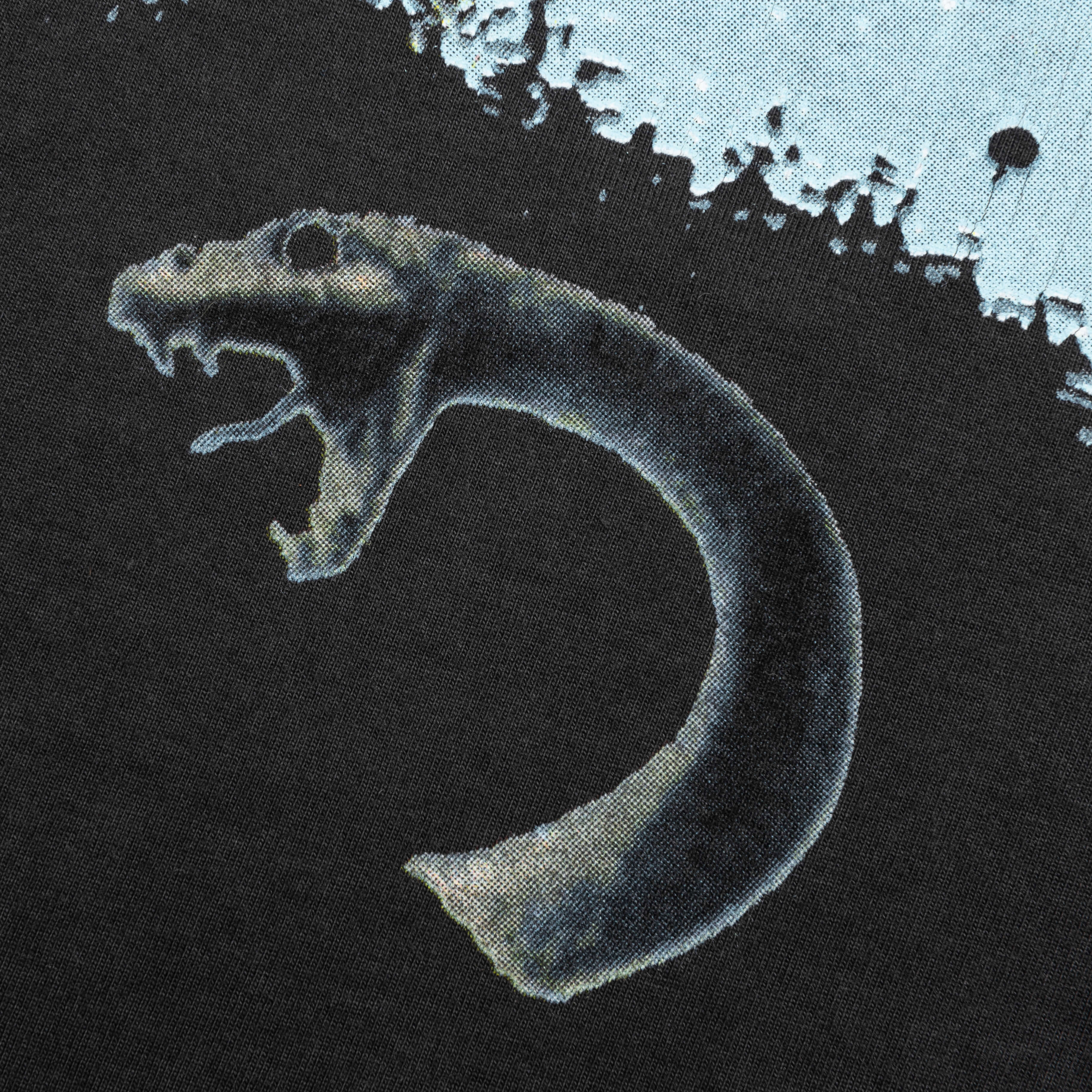 FW Paris Tee - Vintage Black - Image 3
