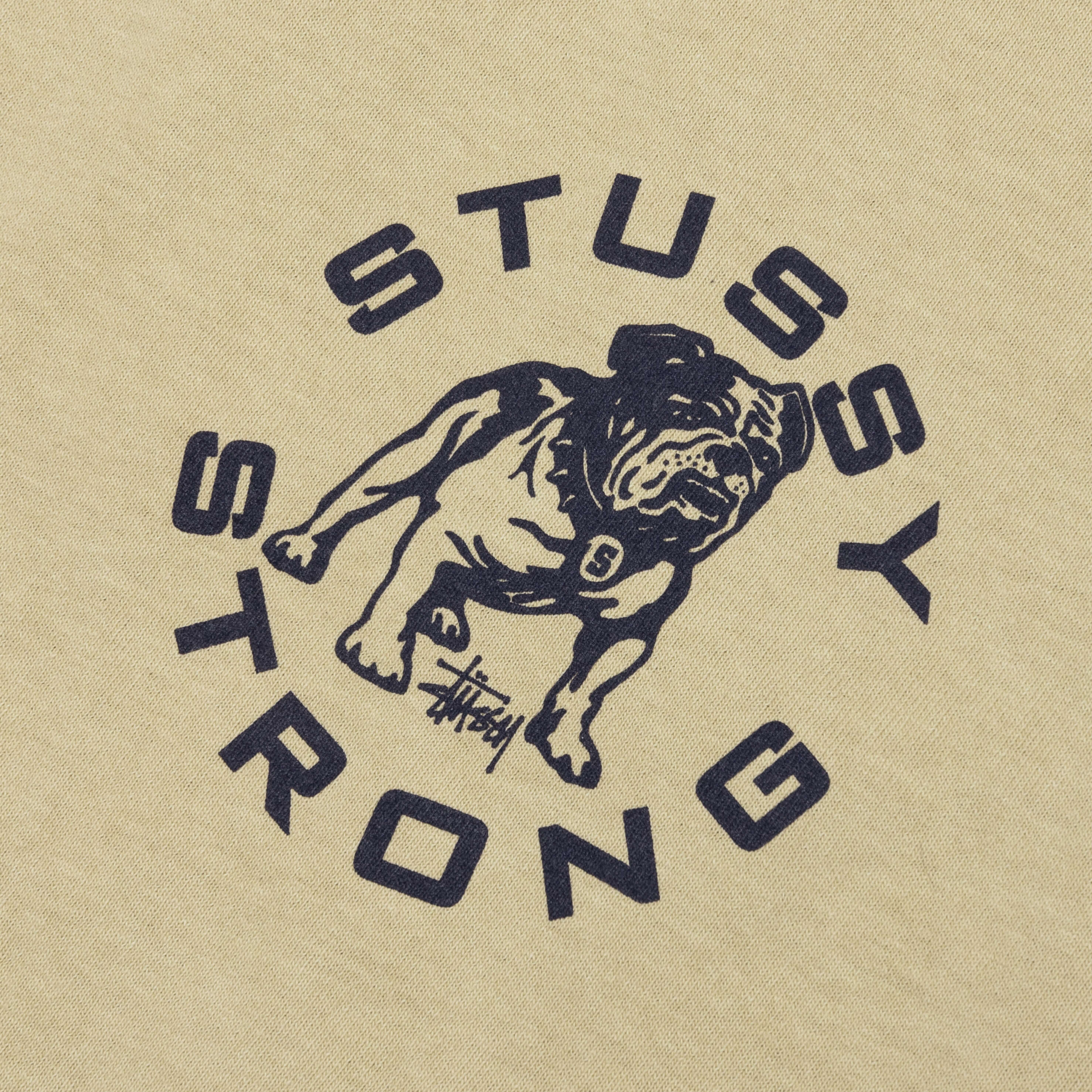 Strong Mac Pigmented Dyed Tee - Elm - Image 3