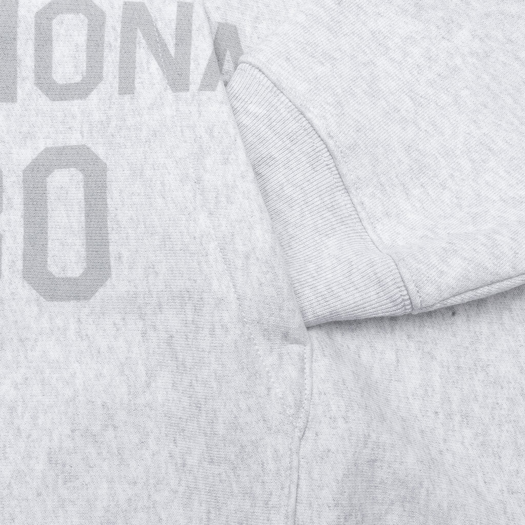 Established Printed Zip Hoodie - Ash Heather - Image 4