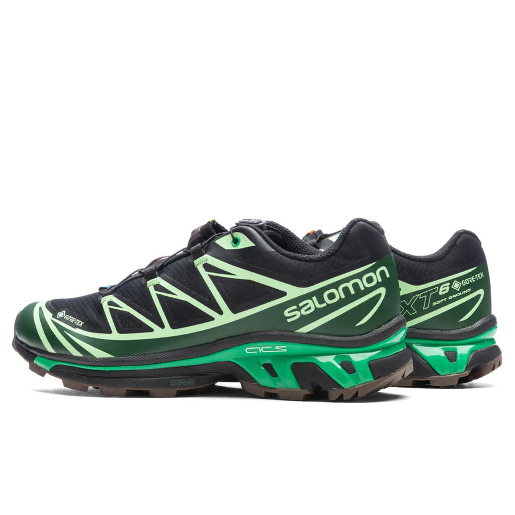 XT-6 GTX - Black/Eden/Green Ash - Image 3